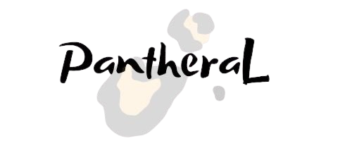 Il mio negozio
